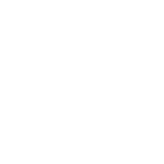 Torino Torino
